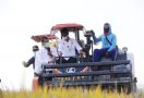 Panen Padi di Konawe Selatan, Mentan SYL: Jadilah Pejuang Pertanian - JPNN.com
