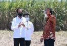 Jokowi Resmikan Pabrik Gula di Bombana, Ada Andi Amran Sulaiman - JPNN.com