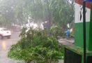 Hujan Angin Sore Hari Akibatkan Berbagai Bencana di Bekasi - JPNN.com