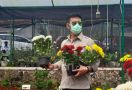 Keren, Varietas Unggul Bunga Tanaman Hias dari Balithi Kementan Sumbang Rp 311,6 Miliar untuk Indonesia - JPNN.com