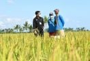 BBPP Batu Menggembleng Daya Saing Puluhan Ribu Petani dan Penyuluh Pertanian - JPNN.com