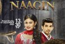 Naagin, Kisah Balas Dendam yang Berujung Cinta   - JPNN.com