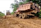 Bareskrim Bongkar Tindak Pidana Illegal Logging di Katingan - JPNN.com