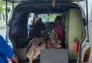 Dua Bocah Berusia 9 Tahun Tewas Tenggelam di Kolam Ikan - JPNN.com