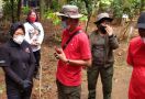HUT ke-48 PDIP, Risma Tanam Pohon Salak dan Kecapi Bersama Komunitas Ciliwung Condet - JPNN.com