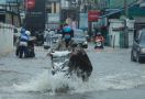 Dikepung Banjir, Banjarmasin Siaga Darurat, Korban Berjatuhan - JPNN.com