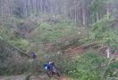 Puluhan Pohon Tumbang, 3 Desa di Cianjur Terasing - JPNN.com