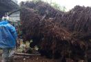 Puncak Bogor Bencana Lagi, Habis Banjir Bandang Kini Longsor - JPNN.com