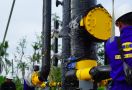 PLTMG Sorong 50 MW menjadi Pionir dalam Program Gasifikasi Kementerian ESDM - JPNN.com