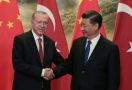 Kontroversi Nama Jalan, KBRI Sebut Itu Keputusan Rezim Erdogan - JPNN.com