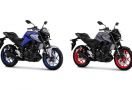 2 Warna Baru di Yamaha MT-25 2021, Pilih yang Mana? - JPNN.com