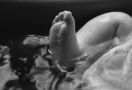 Benarkah Bayi dalam Kandungan Ternyata Sudah Pintar? - JPNN.com
