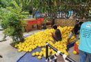 Berbasis OVOV, 1000 Kampung Hortikultura Fokus Pada Ekonomi Skala Luas - JPNN.com