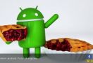 Tampilan Android 12 Mulai Terungkap - JPNN.com