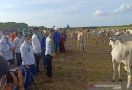 Kunjungi Sukamara Rach Mentan Lihat Potensi Besar Peternakan Sapi - JPNN.com