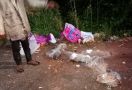Misteri Belasan Bangkai Kucing dalam Kantong Plastik Terungkap, Pelakunya Ternyata Josef Fayness - JPNN.com
