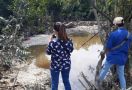 Ribuan Ikan Mati Mendadak di Aliran Sungai Kampung Tengah Muarabulian, Sengaja Diracun - JPNN.com
