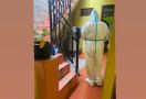 Waspada! Ada Pencuri Menyamar jadi Petugas Semprot Disinfektan ke Rumah - JPNN.com