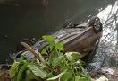 Sopir Mengantuk, Sedan Terjun ke Sungai, Ada Bayi di Dalam, Begini Kondisinya - JPNN.com