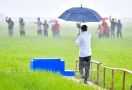 Diguyur Hujan, Jokowi Tinjau Pembangunan Lumbung Pangan di NTT - JPNN.com