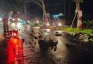 Kronologi Kecelakaan Maut di Magelang, Banyak Korban Jiwa - JPNN.com