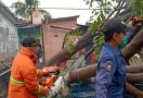 Hujan Badai Guyur Kota Bekasi, Banyak Pohon Tumbang - JPNN.com