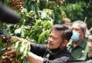 Mentan Syahrul Yasin Limpo Dorong Pengembangan Agrowisata Buah - JPNN.com