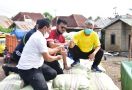 Sidak di Sumsel, Mentan Syahrul Sukses Naikkan Harga Gabah - JPNN.com