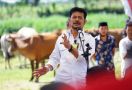 Cara Mentan Syahrul Wujudkan Kabupaten Jeneponto Jadi Sentra Pertanian dan Peternakan Berkualitas - JPNN.com