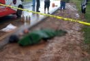 Geger, Mayat Ditemukan Tergeletak di Pinggir Jalan Area Hutan WKS - JPNN.com