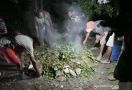 Selamat dari Serangan KKB, Suku Dambet Gelar Ritual Bakar Batu - JPNN.com