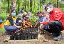 KLHK Lanjutkan Kebijakan PEN dengan Tingkatkan Peran Masyarakat ke Agroforestri - JPNN.com