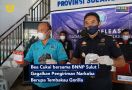Bea Cukai dan BNNP Sulut Menggagalkan Pengiriman Tembakau Gorila ke Tondano - JPNN.com