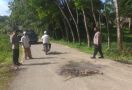 Kecelakaan Maut di Aceh Timur, Dua Orang Tewas, Tiga Kritis - JPNN.com