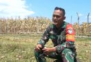 Prajurit TNI AD Ini Ubah Ladang Ganja Jadi Kebun Jagung - JPNN.com
