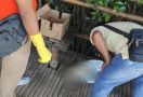 Orok Bayi Berusia 2 Bulan Ditemukan di Ekowisata Mangrove Wonorejo - JPNN.com
