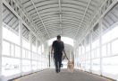 Bea Cukai Optimalkan Peran Anjing Pelacak dalam Deteksi Narkoba - JPNN.com