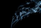 Sejumlah Negara Maju Mulai Meninggalkan Rokok, Ini Alasannya - JPNN.com