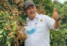 Mengenal Kebun Kelengkeng Grobogan, Wisata Pertanian yang Menjanjikan Prospek Ekonomi - JPNN.com