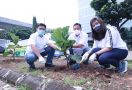 Tanam 4.500 Pohon Ketapang, FIF Group Pecahkan Rekor MURI - JPNN.com