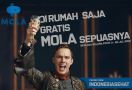 Mola Gratiskan Tayangan Hiburan Selama PPKM Darurat - JPNN.com
