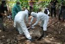 Gajah Sumatera Ditemukan Mati Tanpa Kepala, Dugaan Sementara Akibat Perburuan - JPNN.com