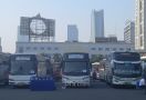 Langgar Izin Trayek Selama PPKM Darurat, 36 Bus Diamankan - JPNN.com