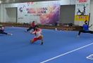 Atlet dan PB Wushu Indonesia Mengapresiasi Kepada Menpora Amali - JPNN.com