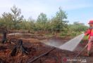 Api Melalap Kawasan Hutan Lindung, Tim Gabungan Langsung Diterjunkan - JPNN.com