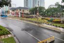 Yang Berharap Massa Demo Tolak PPKM di Depan Istana Membeludak, Pasti Kecewa Berat - JPNN.com