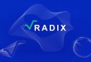 Radix, Blockchain Platform yang Aman dari Peretasan - JPNN.com