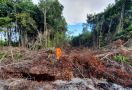 Agus & Yunus Tersesat di Hutan Sungai Maya, Semoga Segera Ditemukan, Amin - JPNN.com
