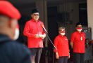 Hasto Kritisi Impor Paracetamol, Pangi: PDIP Sudah Pasti Menyinggung Pemerintahan Jokowi - JPNN.com