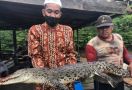 Jaring Terasa Berat, Mahdin Mengira Ikan Besar, Saat Diangkat, Oh Ternyata - JPNN.com